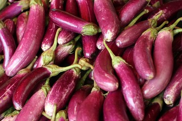 Aubergine
