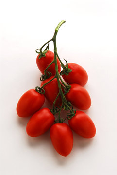 Pomodori picadilly - Solanum lycopersicum