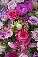 Blumen in lila-rosa.
