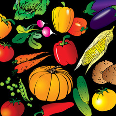 Collection of different vegetables on a black background.