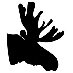 silhouette of moose