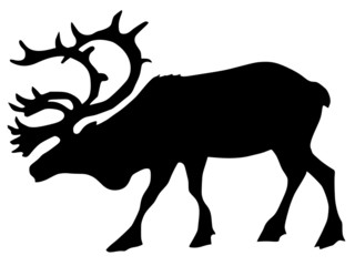 silhouette of reindeer