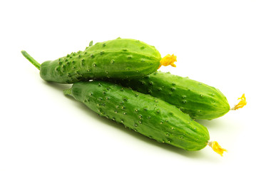 cucumbers