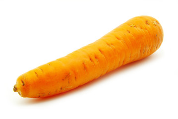 carrot