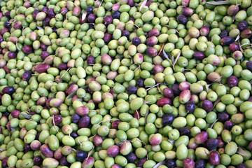 Frutería en el mercado de Agadir, Marruecos