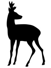 silhouette of roe deer