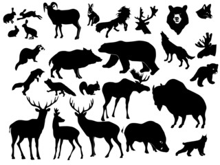 collection of forest animals