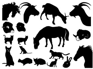 collection of domestic animals