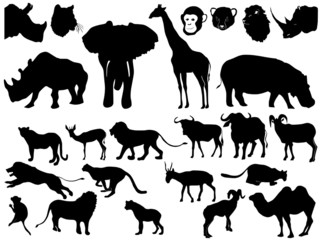 collection of African animals
