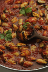 Preparazione del sugo al pomodoro e cozze