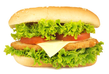 Sandwich isolated on white