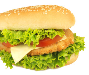 Sandwich isolated on white