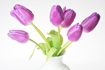 tulips in vase