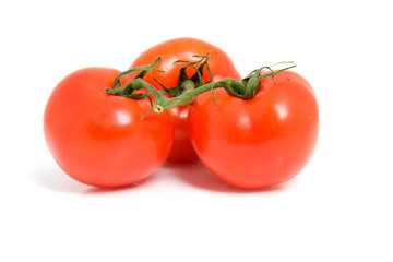 fresh spray tomatoes over white background