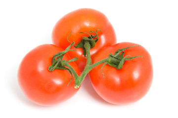 fresh spray tomatoes