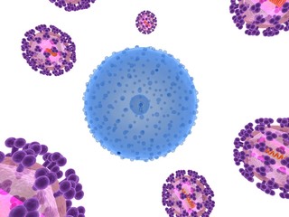 Hi - Viren attackieren eine Zelle