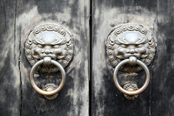 Lion Doorknocks