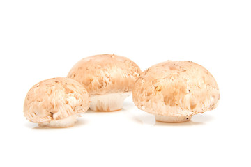 Fresh mushrooms over white background