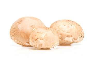 Fresh mushrooms over white background