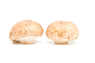 Fresh mushrooms over white background