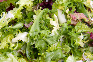 Fresh lettuce in closeup