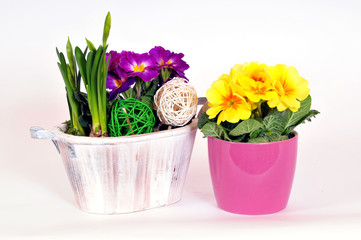 Ostern Frühlung Blumen Dekoration