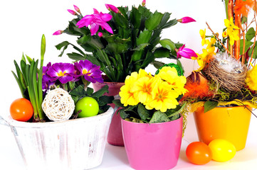 Ostern Frühlung Blumen Dekoration bunt