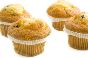 Fresh muffins