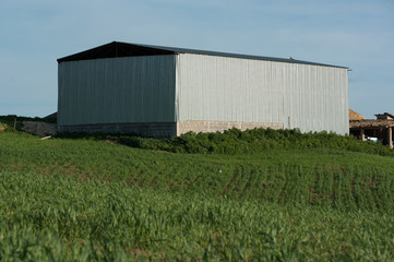 Fototapeta na wymiar agricultural modern building