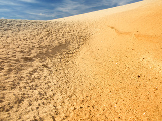 extreme terrain sahara desert