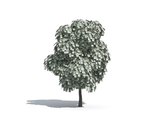 money tree 2 - USD