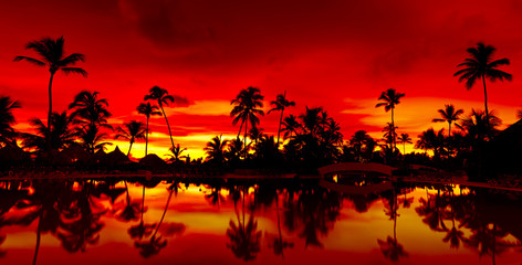 Panorama Orange and red sunset over sea beach with palms