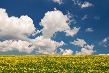 Obraz premium Frühling_2