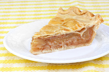 One slice of apple cinnamon pie