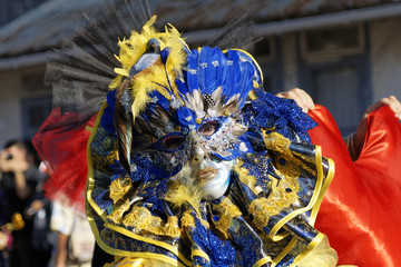Carnaval de Guyane 2010. Grande Parade de Cayenne