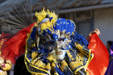 Carnaval de Guyane 2010. Grande Parade de Cayenne