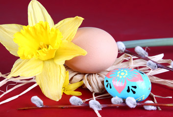 Easter eggs and willow on a red background