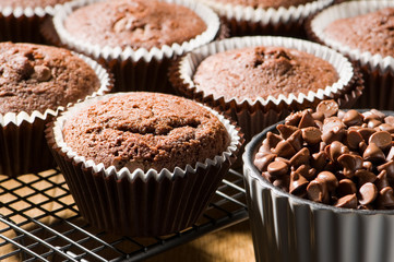 Chocolate Chip Muffins