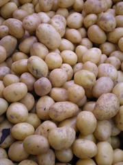 Patate