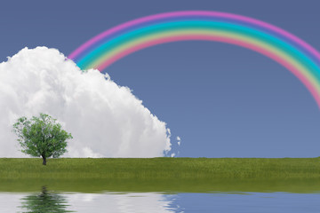 rainbow in landscape