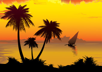 The shore of the ocean with palm trees.