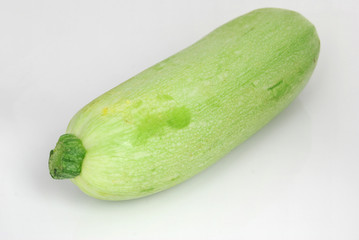 cucubira maxima
