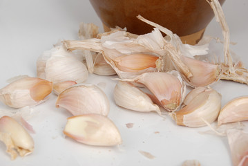 garlic