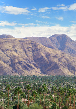 Palm Springs