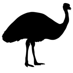 silhouette of emu