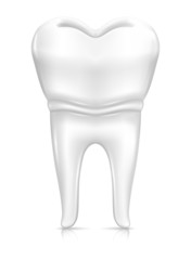 Tooth