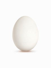 oeuf blanc, fond blanc vertical