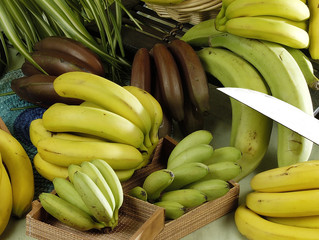 Bananes jaunes ou noires