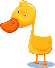 duck