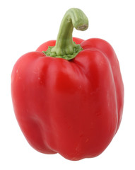 red paprika isolated on white with clipping path